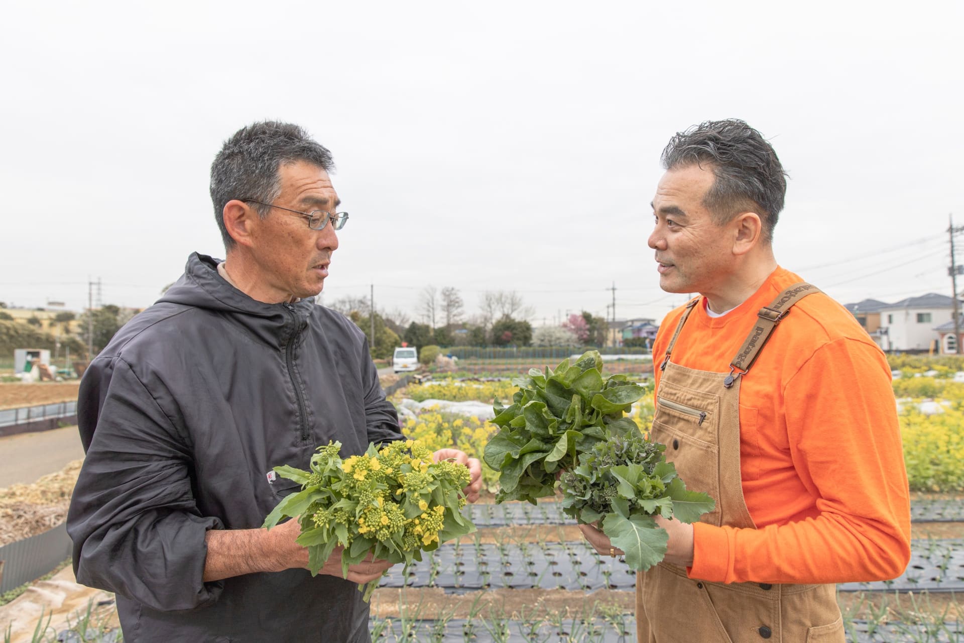 新鮮な野菜